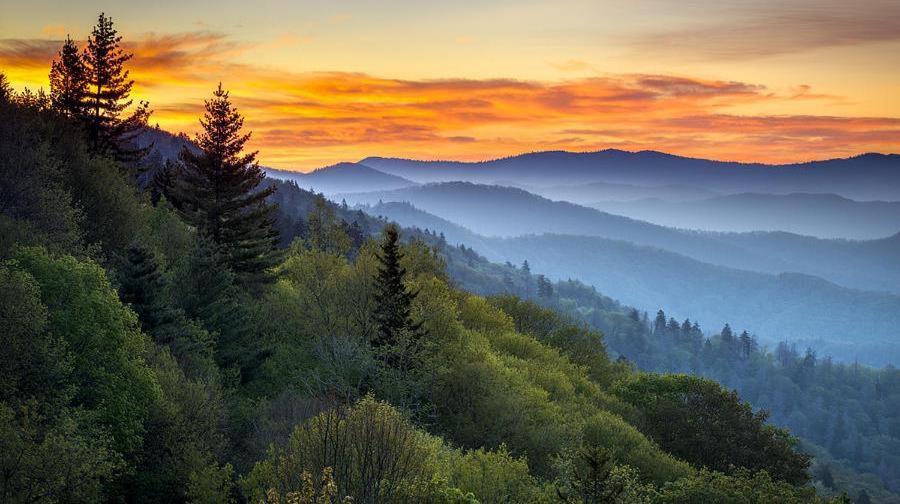 Smokie Mountain Lakefront Lodge: Secluded Luxury for Large Groups Sevierville Exterior photo